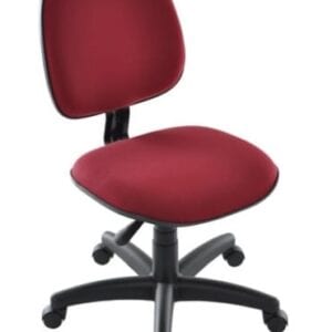 Cadeira STS 120L
